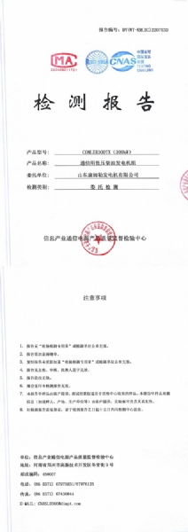 康姆勒300kw柴油发电机检测报告